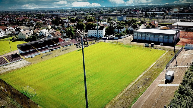 了更加多元 了更加多元